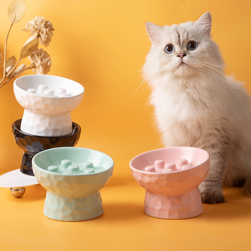 Slow Cooker Ceramic - Ciotola per Gatti in Ceramica con
