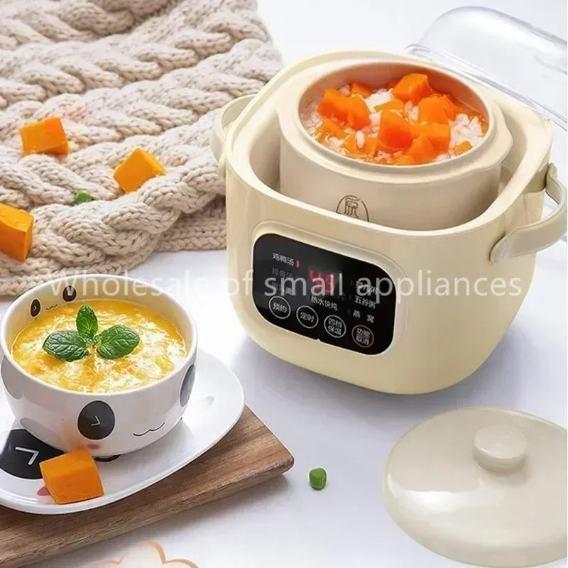 220V Elettrico In Ceramica Pia - Slow Cooker Ceramic recensione e prezzo