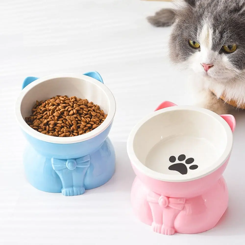 Ciotola in Ceramica per Gatti, - Slow Cooker Ceramic recensione e prezzo
