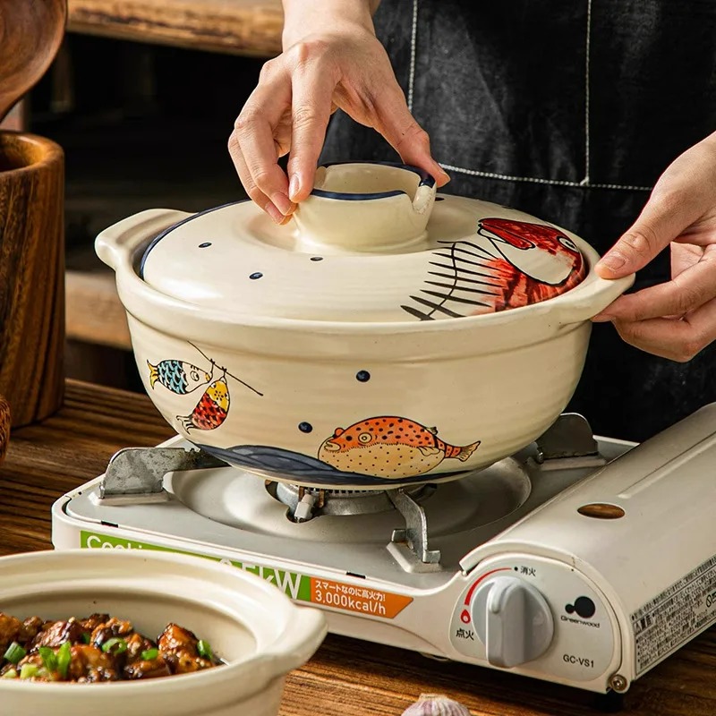 Pentola in ceramica per cottur - Slow Cooker Ceramic recensione e prezzo